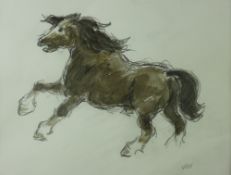 SIR KYFFIN WILLIAMS RA pencil and colourwash - study of a prancing Welsh Cob, signed with