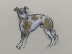 SIR KYFFIN WILLIAMS RA mixed media - study of a nervous whippet or lurcher, signed, 26 x 38cms