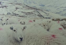 LLINOS LANINI coloured print - sheep in a snowy landscape, signed and entitled 'Defaid Bwlch y
