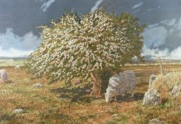 DAVID TRESS coloured limited edition (49/250) print - sheep grazing by a blossom tree, signed, 33