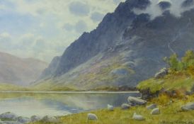 WARREN WILLIAMS ARCA watercolour - Snowdonia lake scene with grazing sheep, signed, 31.5 x 49 cms
