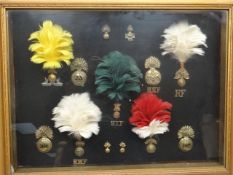 A framed display of Fusilier badges and plumes, 18 x 23 ins approx.