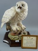 An Aynsley limited edition (151/250) model of the Great Snowy Owl, modelled by Fred Wright, a fine