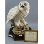 An Aynsley limited edition (151/250) model of the Great Snowy Owl, modelled by Fred Wright, a fine