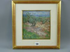 DIANA ARMFIELD oil on board - olives in a Spanish landscape, signed with initials and with title