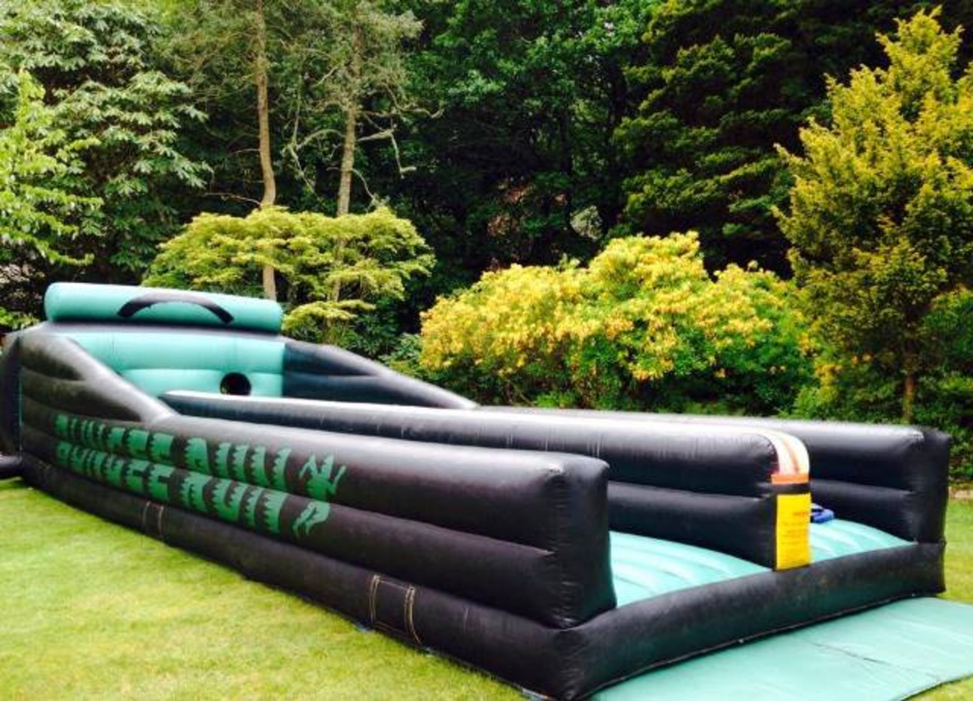 13ft x 12ft Inflatable Bungee Run - Image 4 of 5