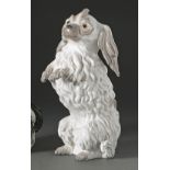 Bologneser Hund, Männchen machend Meissen, 20. Jh. Nach einem Modell von Johann Joachim Kändler um