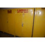 Safety Storage Cabinet, 2-Door