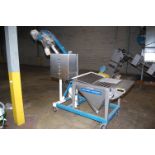 Flexicon Stainless Steel Hopper w/Auger Type Feed System, SS Hopper, 36 in. x 36 in. x 36 in.,