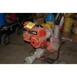 Homelite/Briggs & Stratton Gasoline Operated Engine & Pump, Parts & Components