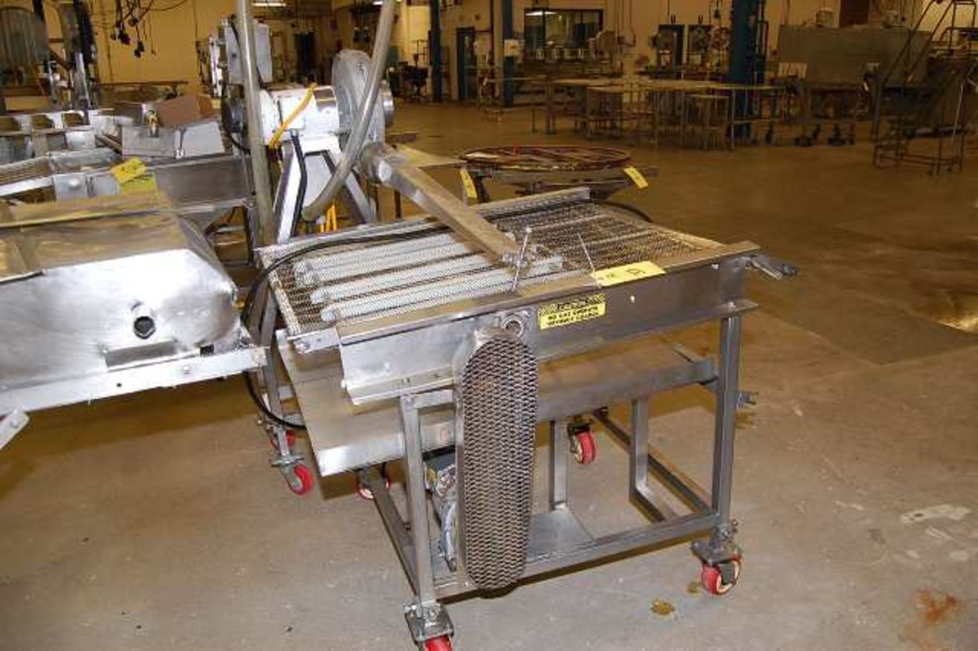 Batter Applicator w/SS Wire Belt, Motorized Conveyor, 34 in. Wide x 52 in. Length, Single Phase