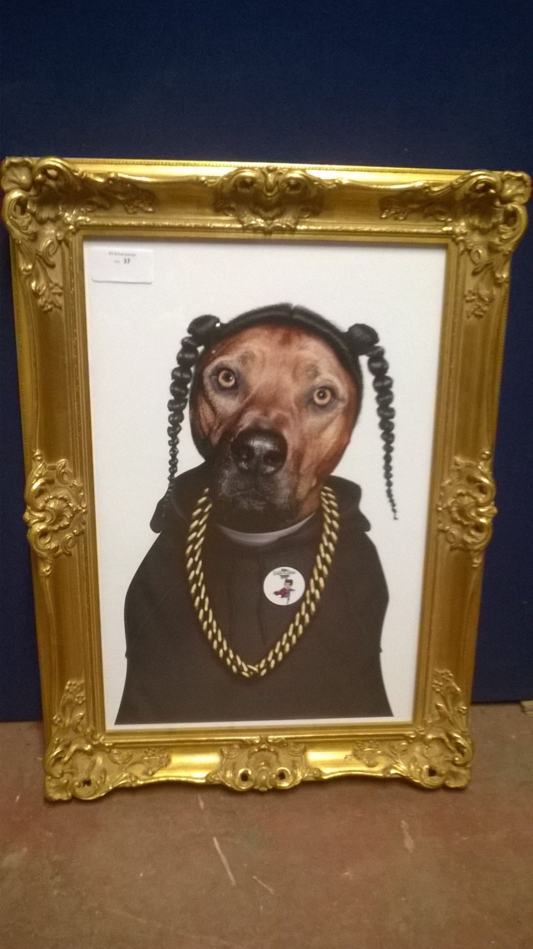 Pets Rock Rap the dog - Snoop Dog picture by Takkoda