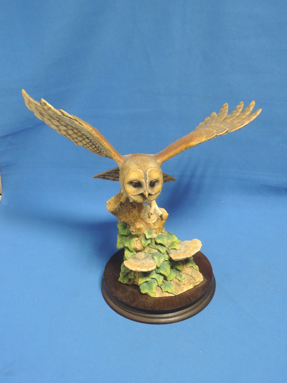 A Border Fine Arts study, Tawny Owl (style three) 082