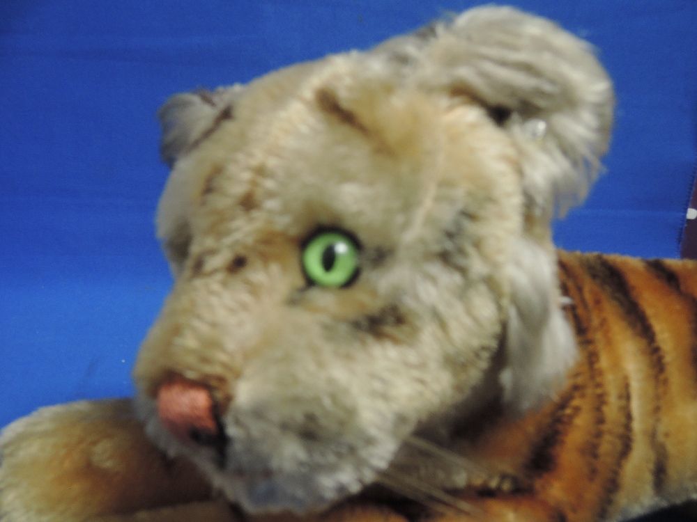 A mid 20th century Steiff lion cub having button in ear and card pendant - Image 2 of 2