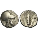 Lucania, Stater, Metapontion, c. 340-330 BC; AR (g 7,73; mm 20; h 4); Head of Leukippos r.,