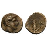 Lucania, Bronze, Metapontion, c. 300-250 BC; AE (g 1,00; mm 10; h 8); Head of Apollo Carneius r.,