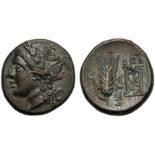 Lucania, Bronze, Metapontion, c. 300-250 BC; AE (g 2,98; mm 14; h 3); Laureate head of Apollo l.,