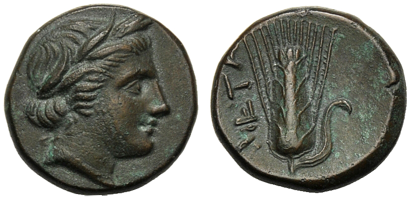 Lucania, Bronze, Metapontion, c. 300-250 BC; AE (g 2,71; mm 13; h 8); Head of Demeter r., wearing