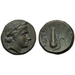 Lucania, Bronze, Metapontion, c. 300-250 BC; AE (g 2,71; mm 13; h 8); Head of Demeter r., wearing