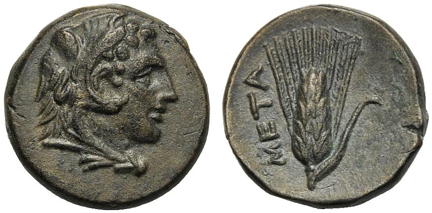 Lucania, Bronze, Metapontion, c. 300-250 BC; AE (g 3,08; mm 14; h 9); Head of Herakles r., beardless