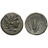 Lucania, Bronze, Metapontion, c. 300-250 BC; AE (g 3,08; mm 14; h 9); Head of Herakles r., beardless