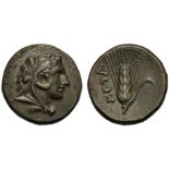 Lucania, Bronze, Metapontion, c. 300-250 BC; AE (g 2,91; mm 15; h 6); Head of Herakles r., beardless