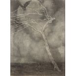 Paul Henry RHA (1876-1958)Cloudscape with Bird in a Thorn Tree (1908-09)Charcoal on paper, 48 x 34.