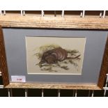 Andrew Alexander (20th Century), Otter with a trout, watercolour, monogrammed lower right, framed