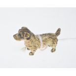 An early 20th century cold painted bronze model of a terrier. Length 4cm