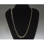 A single strand graduated cultured pearl necklace, on a pearl-mounted silver clasp. Length c. 47cm