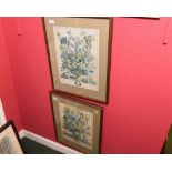 A pair of botanical engravings in 18th century style, framed