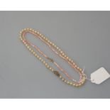 A cultured pearl necklace on a gold clasp, tog. with a small coral coloured bead necklace