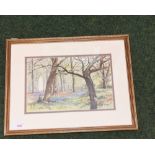 Sally Heath, woodland glade, watercolour, signed