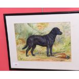 DM & EM Alderson, Jet, watercolour of a gun dog, dated 1978