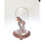 Taxidermy - A chaffinch &  bullfinch on a branch, circa 1900, under a glass dome