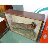 Taxidermy: cased pheasants on a naturalistic base.