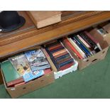 Three boxes of reference books and novels