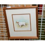 Chris Sparrow, Study of a young Jack Russell dog, watercolour, signed framed and glazed