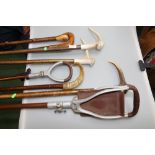 A group of six walking sticks, three antler handled, one horn handled; tog. with two shooting