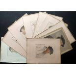 Holbein, Hans (After) 1812 Lot of 9 Stipple Engraved Colour Portraits Lot of 9 Stipple Engravings