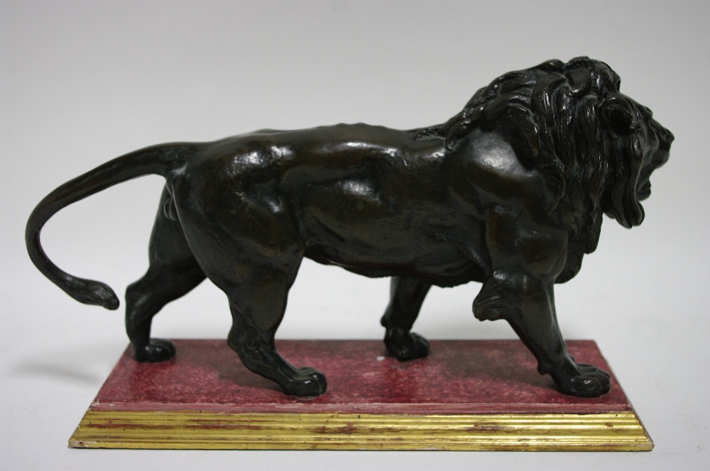 A bronze model of a walking male lion after A. L. Barye; 16" long x 8" high, on wooden base. - Image 2 of 3