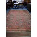 An antique Afghan carpet of madder ground, with three rows of nine elephant-foot guhls; 10' 7" x