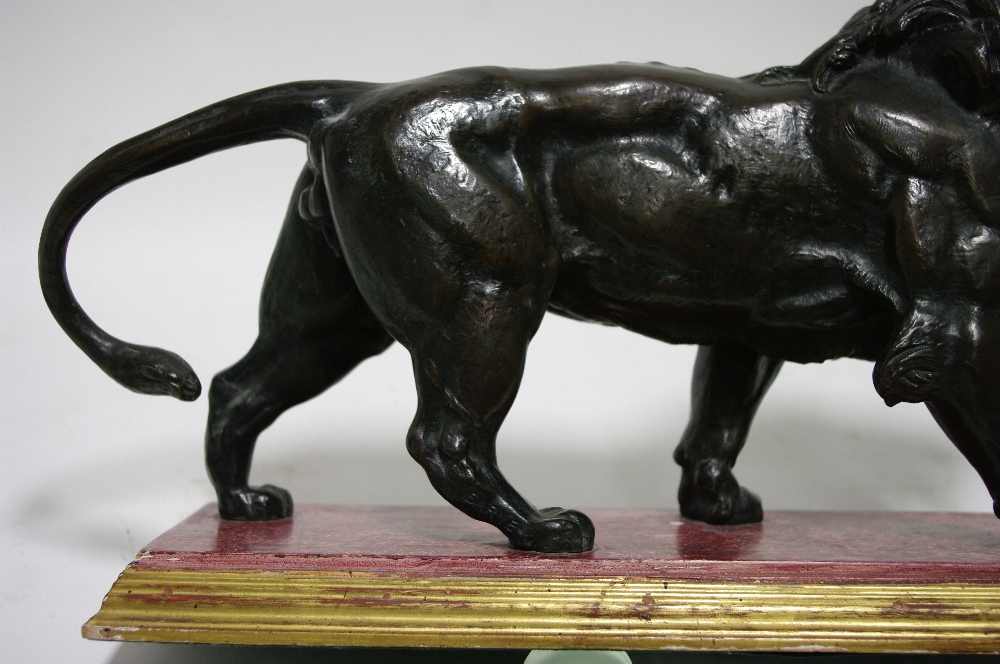 A bronze model of a walking male lion after A. L. Barye; 16" long x 8" high, on wooden base. - Image 3 of 3
