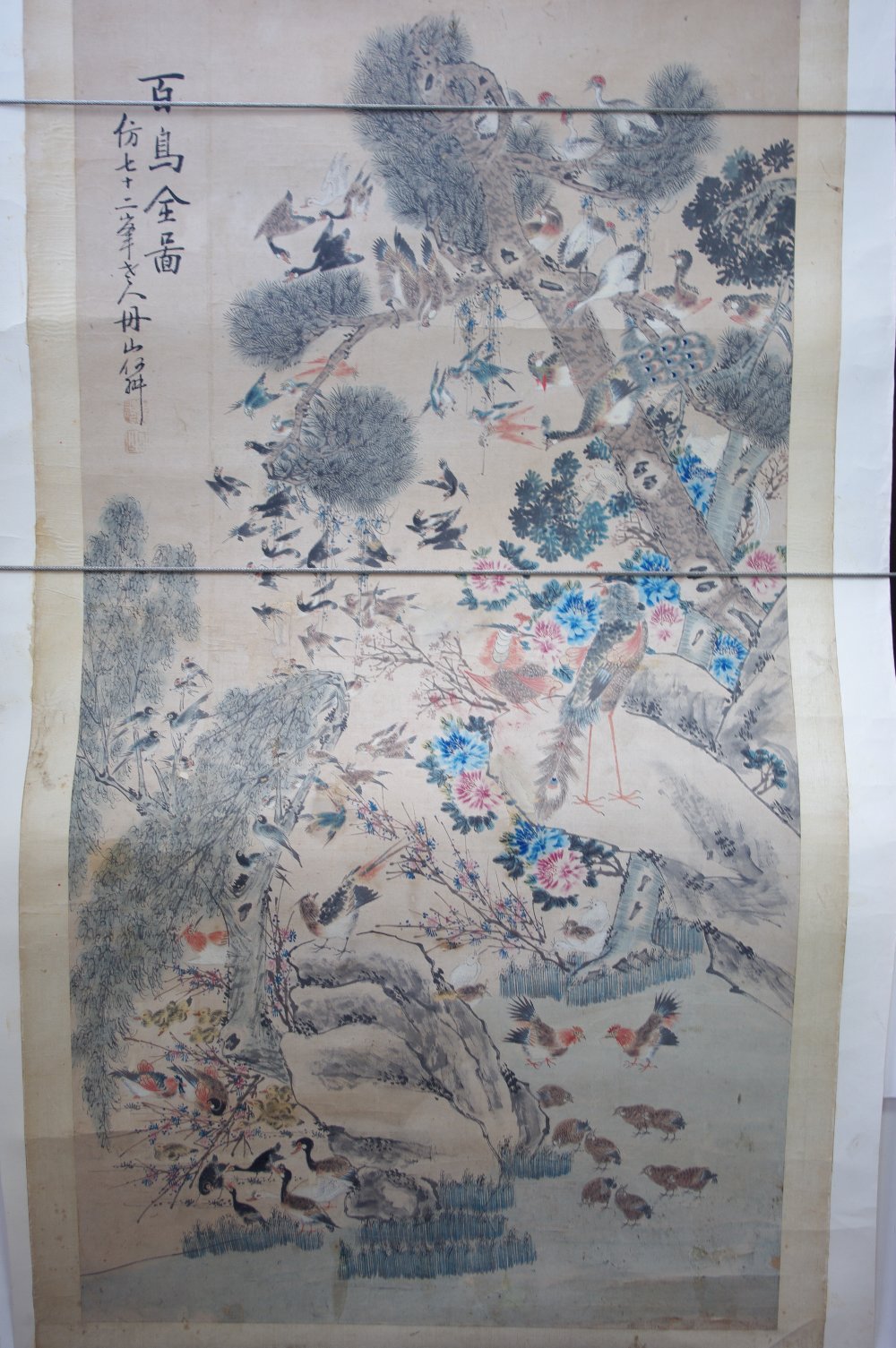 A Chinese scroll painting depicting various exotic birds & domestic fowl amongst trees & rocks;