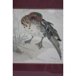 ROLLESTON, G. M. A study of a green-winged teal. Signed & dated ’72; watercolour: 11” x 10¾”.