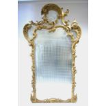 A VICTORIAN CARVED GILTWOOD FRAME LARGE PIER GLASS of rococo design, the deeply bevelled central