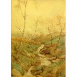 An Autumnal Wild Stream. Watercolour. Fr