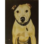 Oil on board of a Staffordshire Bull Ter