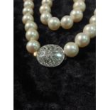 A large cultured pearl necklace consisti