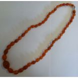 An amber graduated, oval, bead necklace